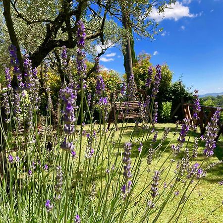 Grove Cottage: Immersed In Nature & Close To Town Città della Pieve Exteriör bild