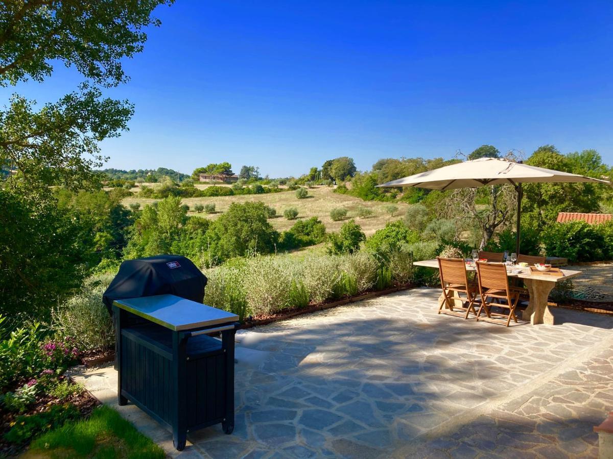 Grove Cottage: Immersed In Nature & Close To Town Città della Pieve Exteriör bild