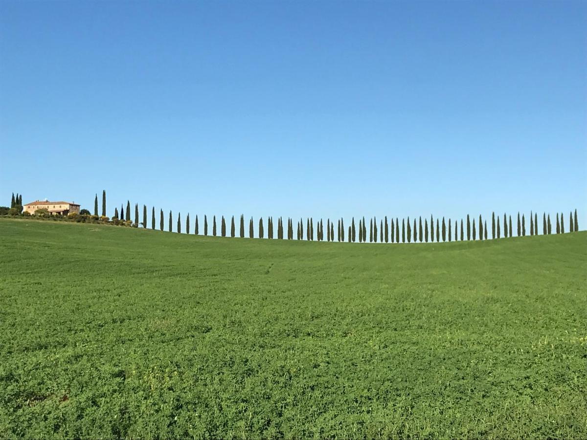 Grove Cottage: Immersed In Nature & Close To Town Città della Pieve Exteriör bild
