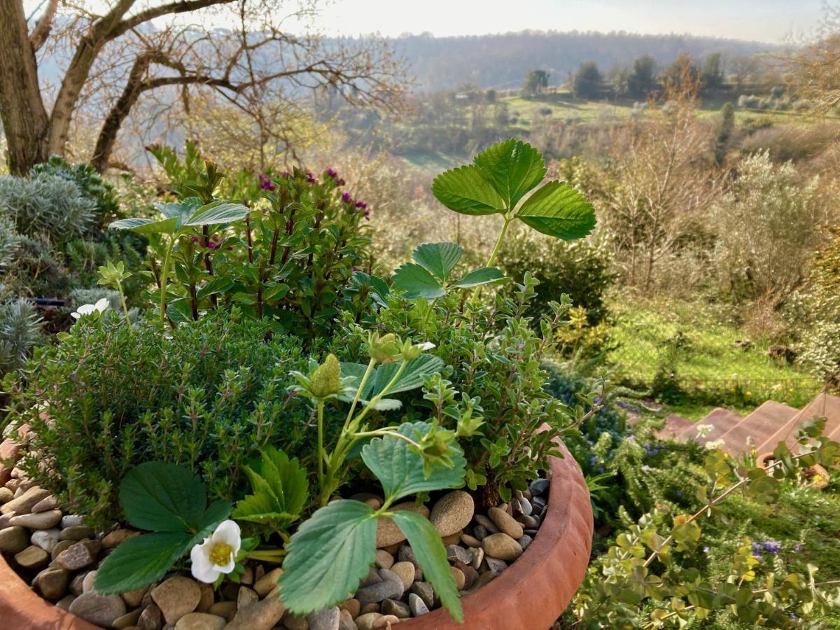 Grove Cottage: Immersed In Nature & Close To Town Città della Pieve Exteriör bild