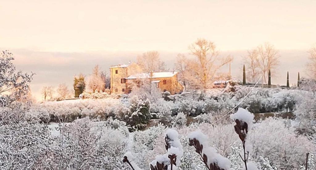 Grove Cottage: Immersed In Nature & Close To Town Città della Pieve Exteriör bild