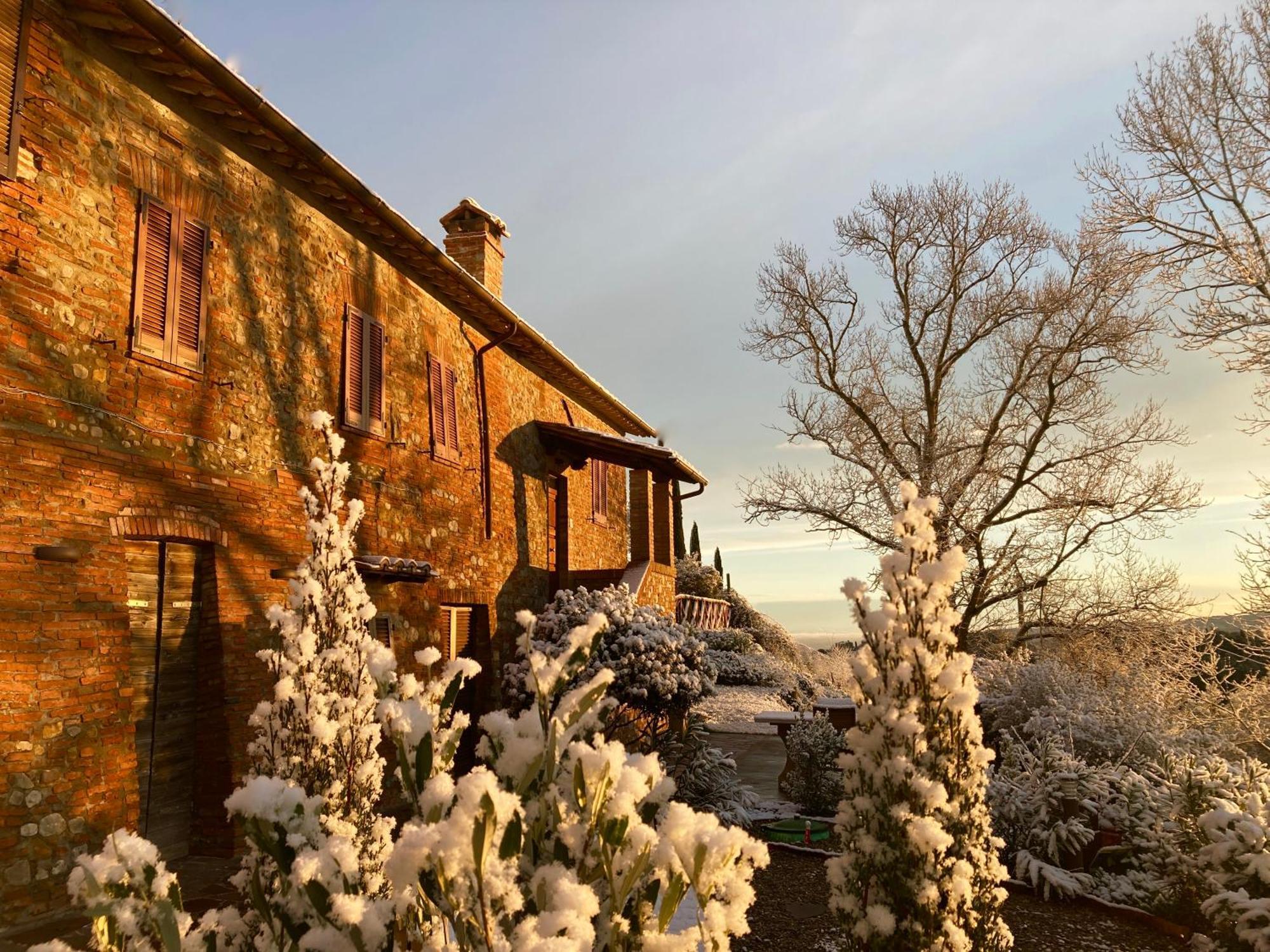 Grove Cottage: Immersed In Nature & Close To Town Città della Pieve Exteriör bild