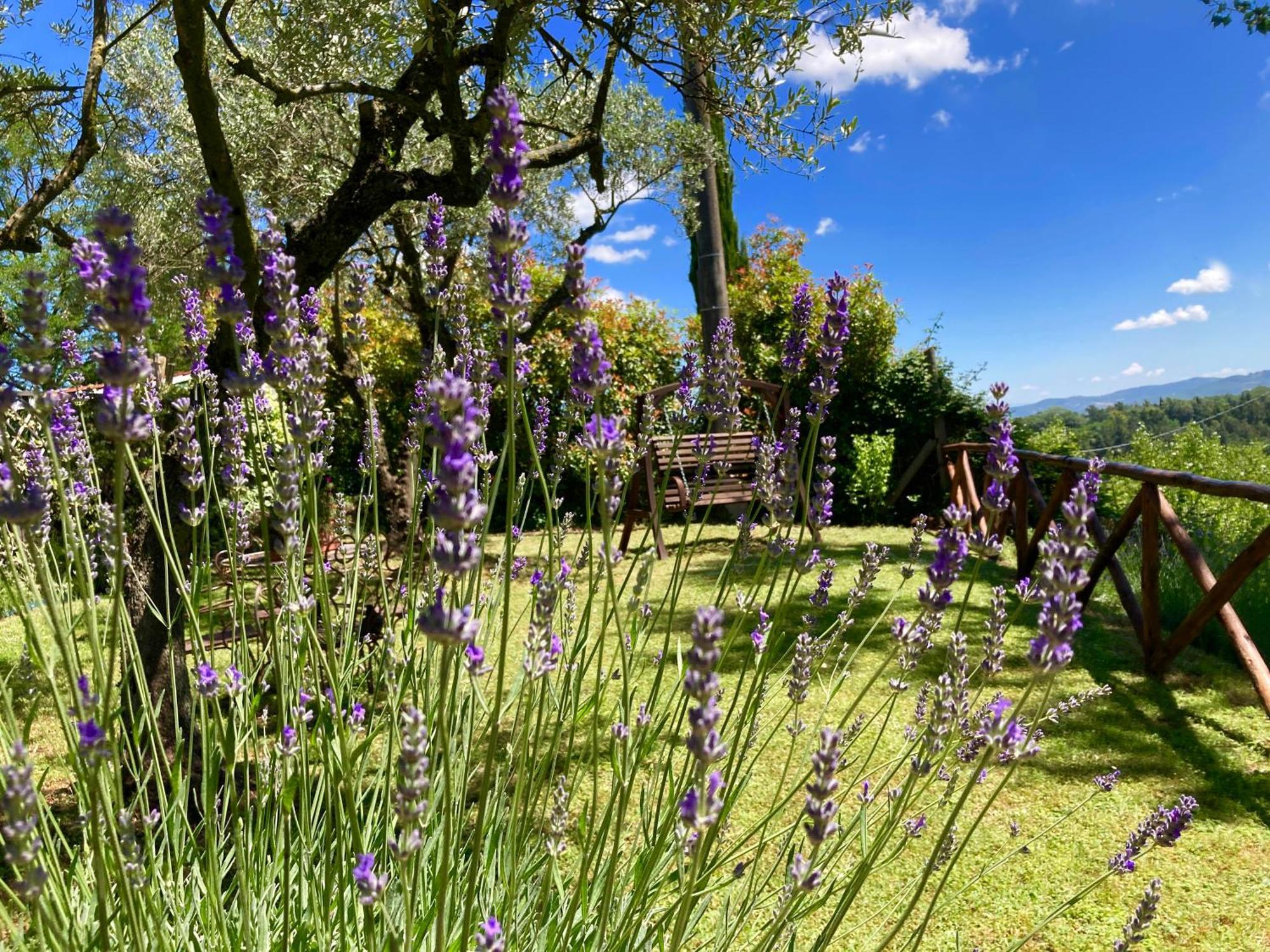 Grove Cottage: Immersed In Nature & Close To Town Città della Pieve Exteriör bild