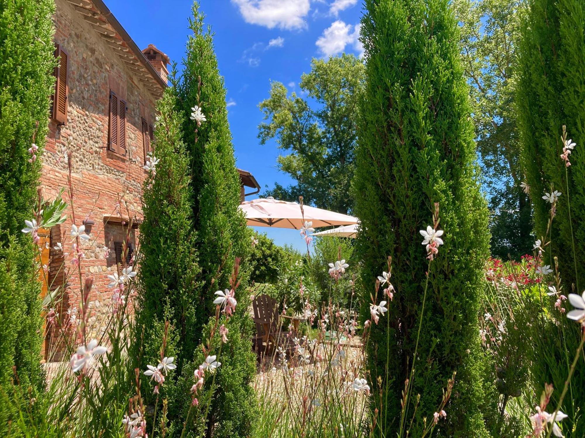 Grove Cottage: Immersed In Nature & Close To Town Città della Pieve Exteriör bild